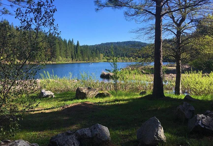 Bearvista Villa Arnold Eksteriør bilde